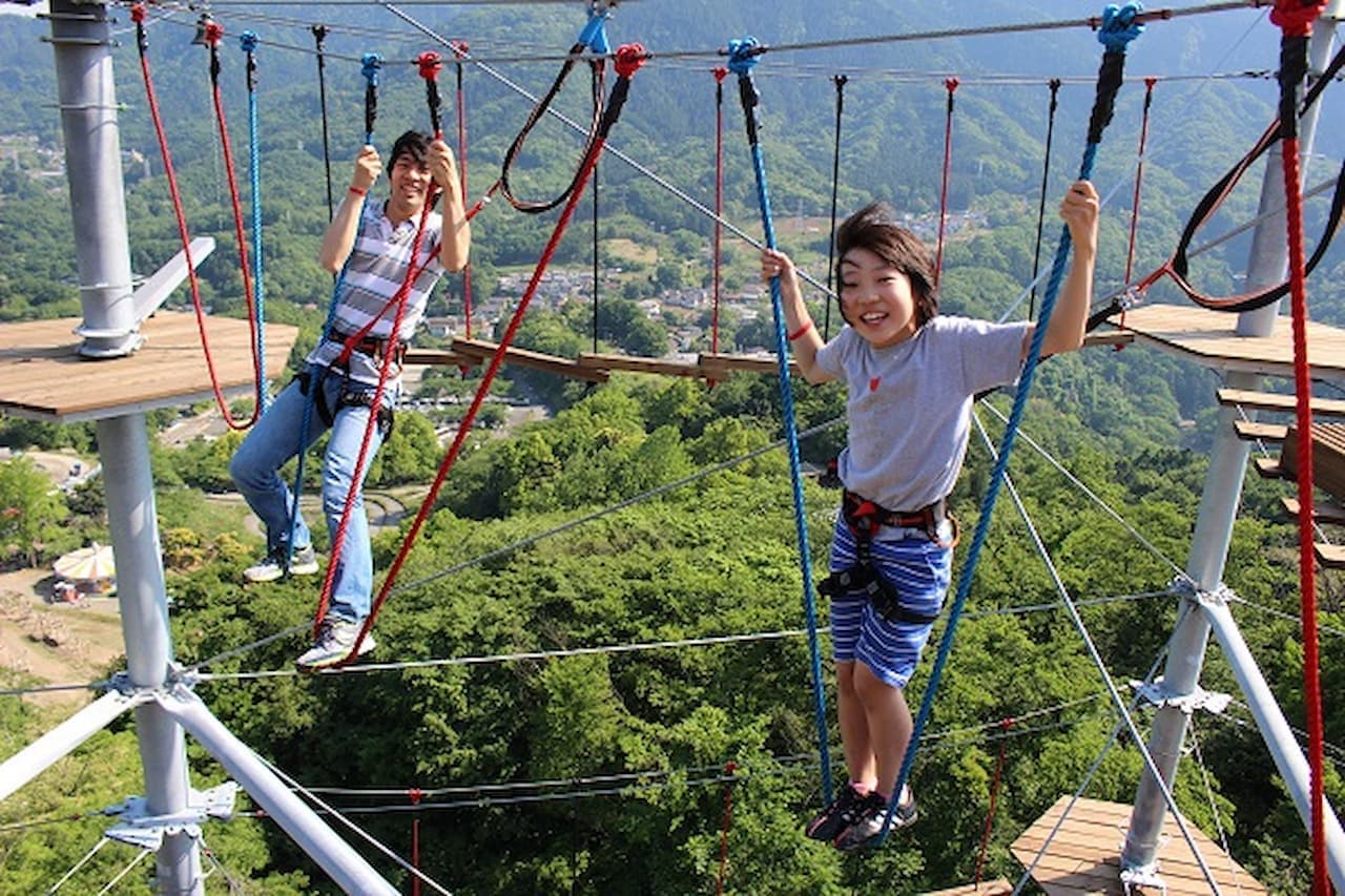 Sagamiko MORI MORI Ticket - image 6
